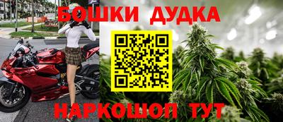 индика Гусь-Хрустальный